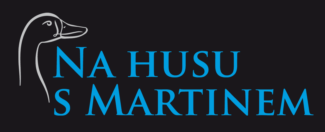 logo Na husu s Martinem